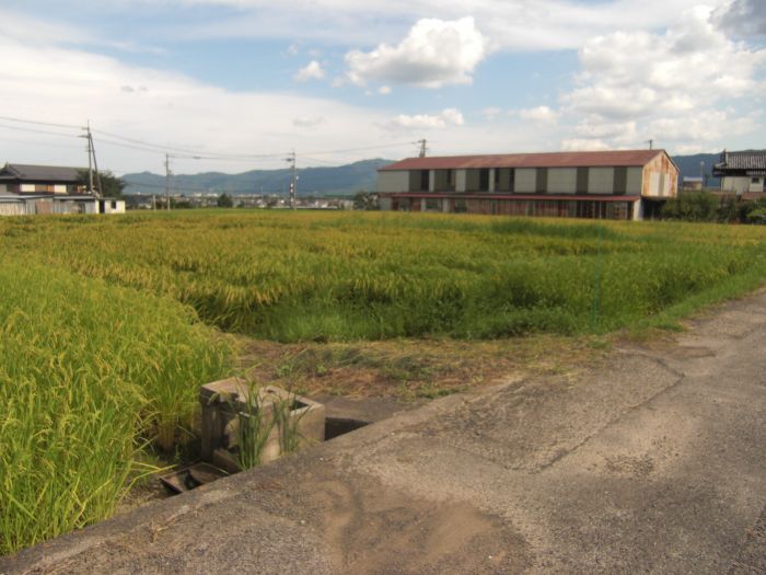  徳島県阿波市土成町水田字月成