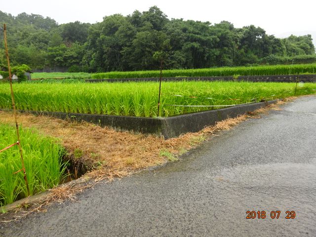  徳島県板野郡上板町引野字上歯朶之尾