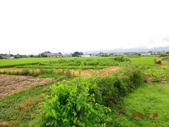  徳島県板野郡上板町引野字出口