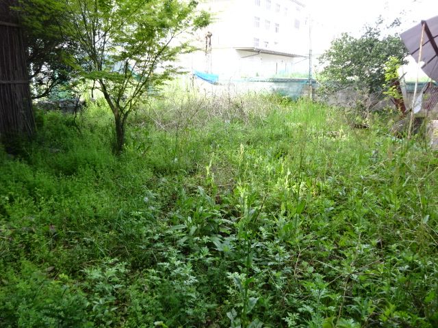 徳島県吉野川市鴨島町西麻植字青柳 鴨島駅 売地の物件詳細(00029711)