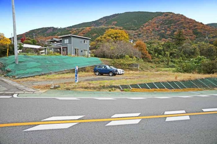  徳島県三好市池田町州津宮ノ久保799-3 
