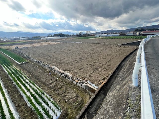  徳島県阿波市土成町吉田字一本松の一