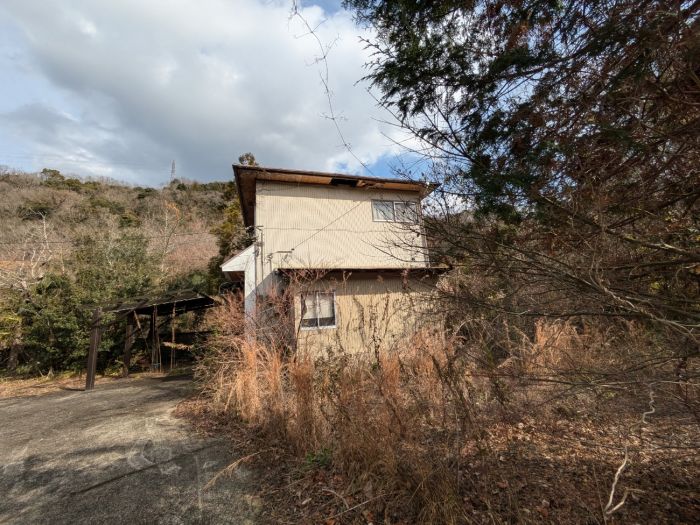  徳島県板野郡板野町大坂字関東