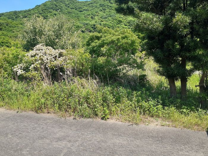  徳島県鳴門市鳴門町三ツ石字芙蓉山下