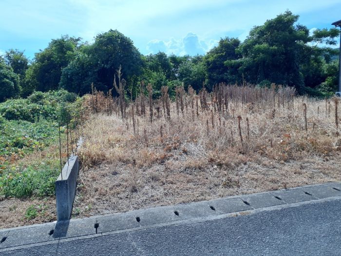  徳島県板野郡上板町引野字東原
