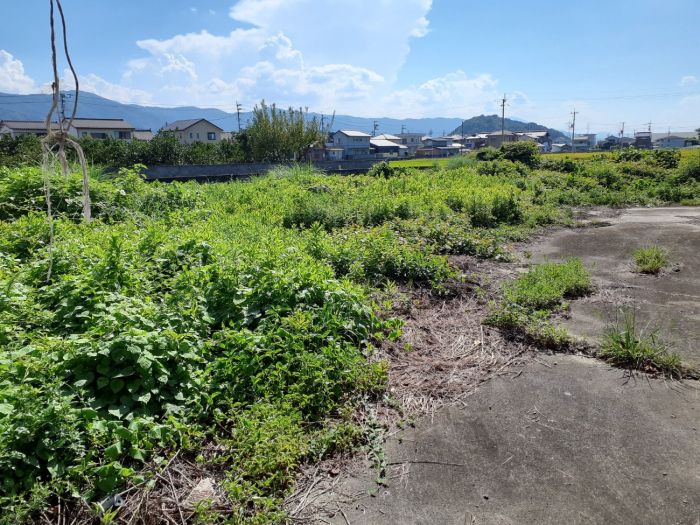  徳島県吉野川市鴨島町上浦